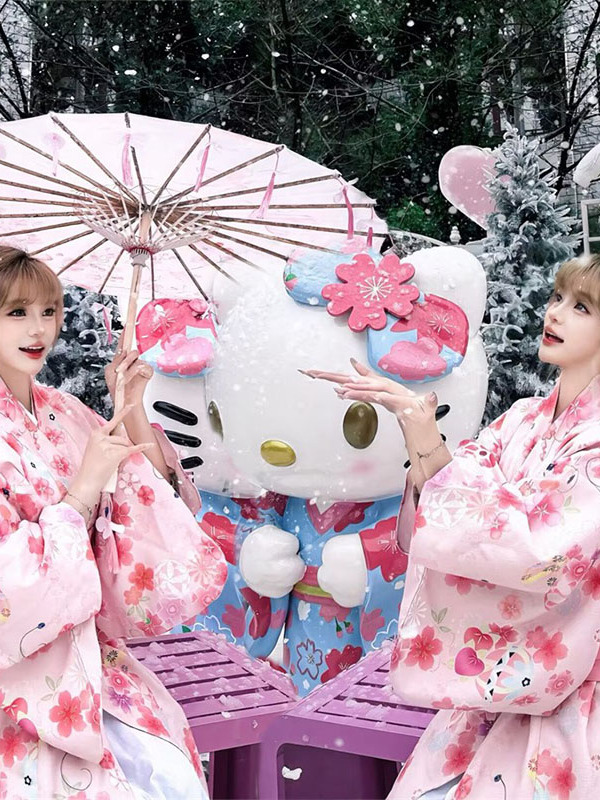 Photography Online - Geleneksel Japon Kimono Bornoz Yeni Gelen